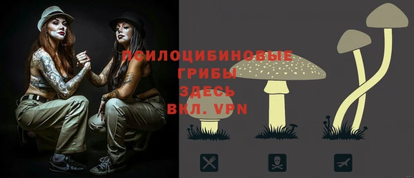 дмт Новодвинск