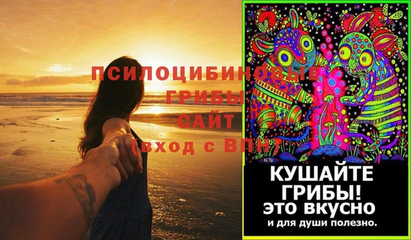 дмт Новодвинск