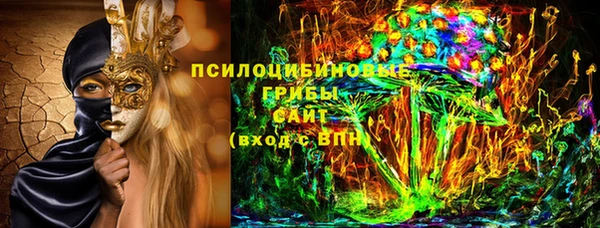 дмт Новодвинск