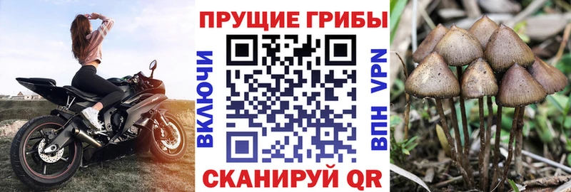 Галлюциногенные грибы мицелий  Кирсанов 