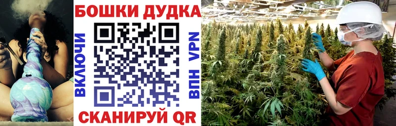 mega зеркало Кирсанов даркнет официальный сайт Каннабис AK-47
